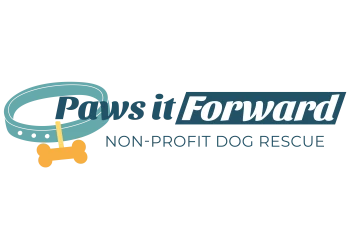 Paws It Forward