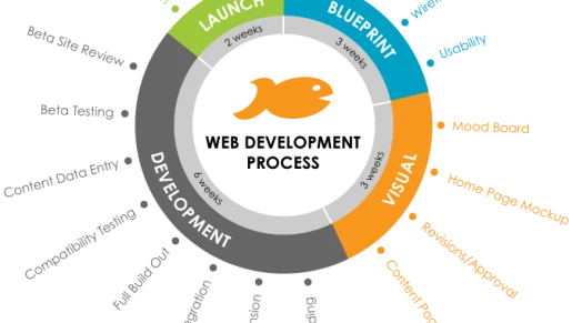 Website Design Project Overview