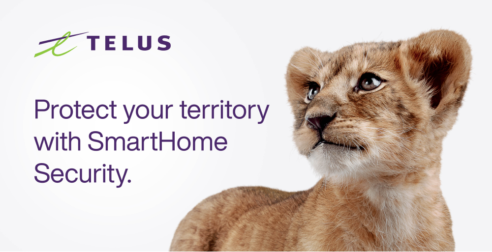 TELUS billboard of a lion cub with the line Protect your territory with SmartHome Security