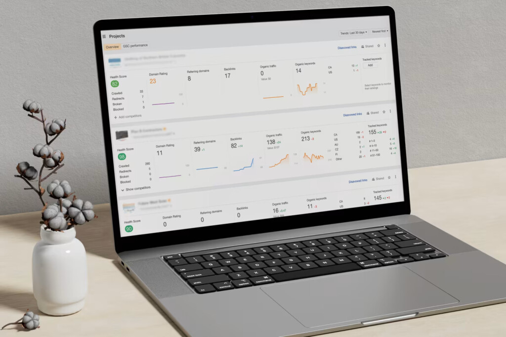 Laptop showing an Ahrefs analytics dashboard beside a cotton plant