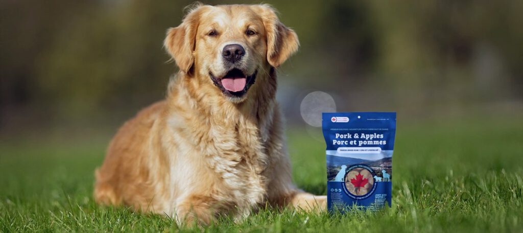 Golden retriever lying on grass beside a bag of Big Air Foods apple and parsley dog treats