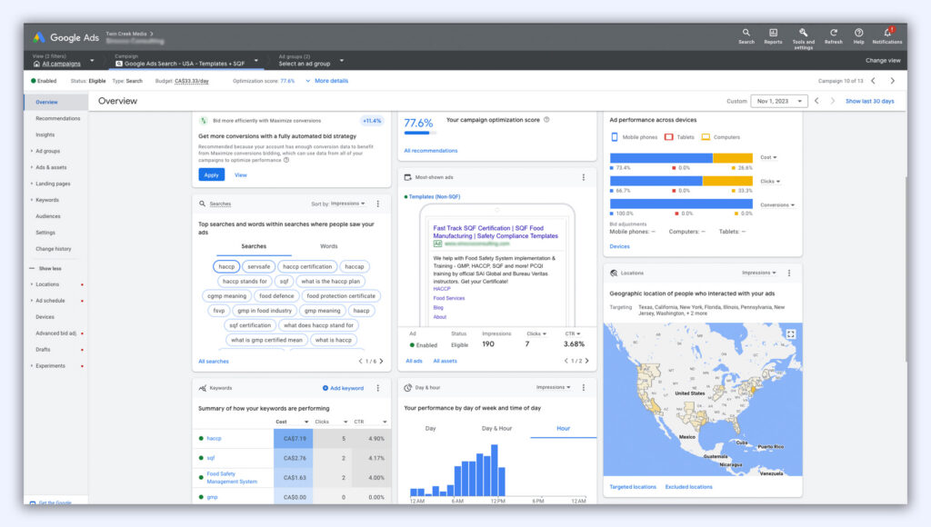 Google Ads search campaign dashboard showing keyword performance, top search queries and geographic targeting across major U.S. markets for an international client