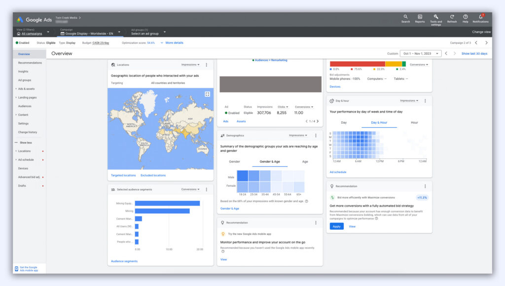 Google Display campaign overview for a worldwide English-language campaign, showing global reach, audience segments and demographic targeting