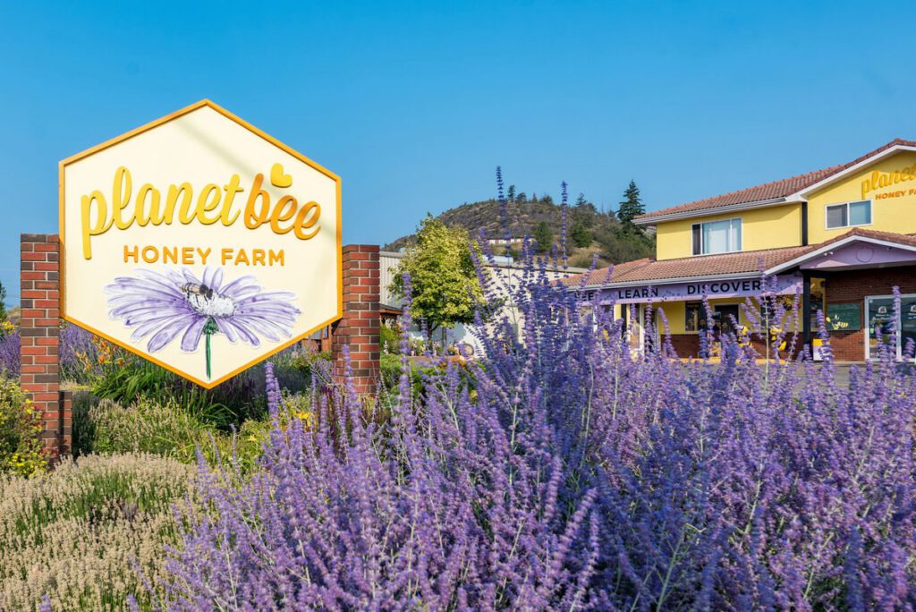Marketing work for Planet Bee