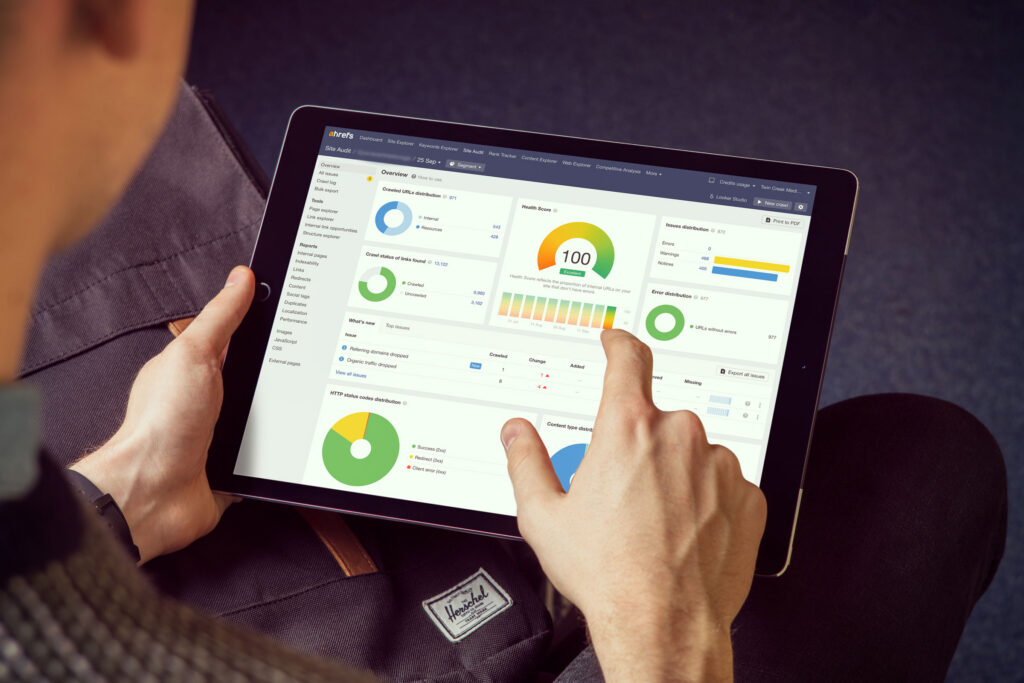 Visual overviews of SEO performance