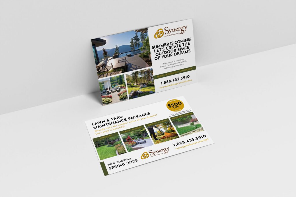 Marketing work for Synergy