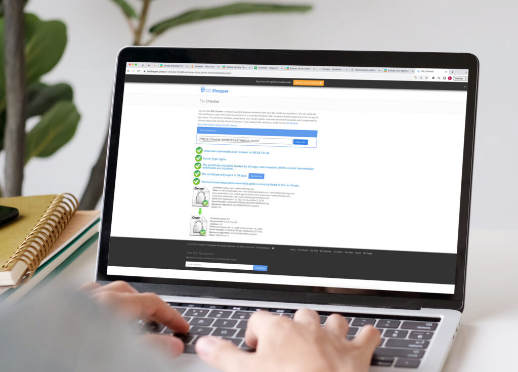 Mockup of website protection and security