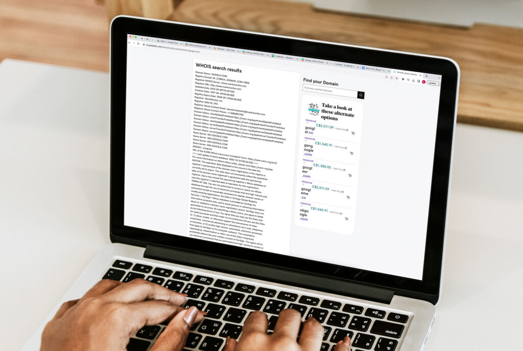 Mockup of query and protocol systems for retrieving domain-related data